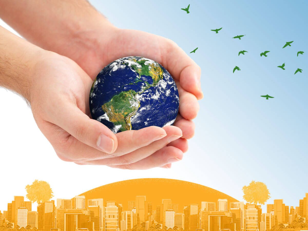 ¿Empresa regenerativa y por qué va más allá de la sostenibilidad?